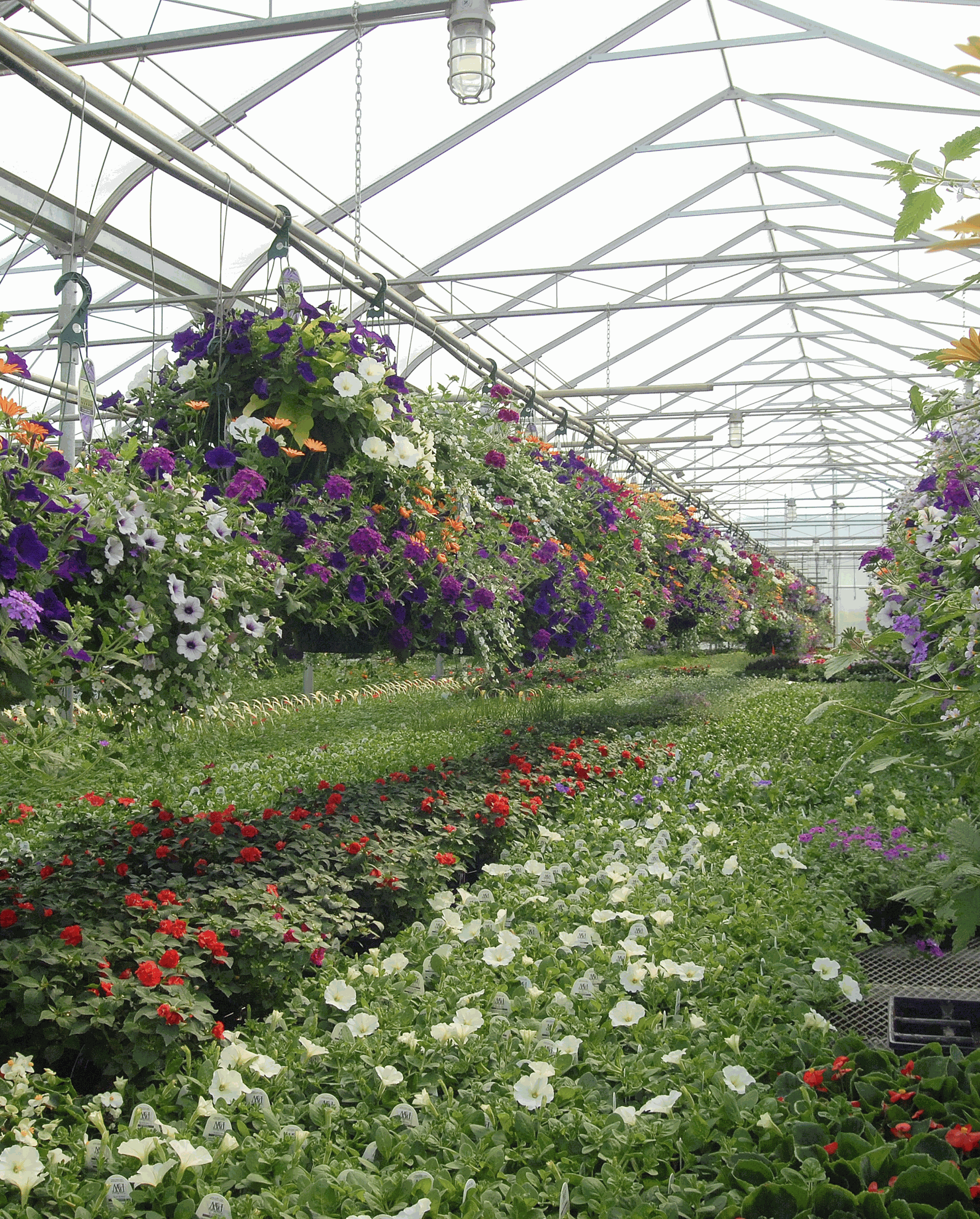 Breezy Hill Nursery Landscape Design
